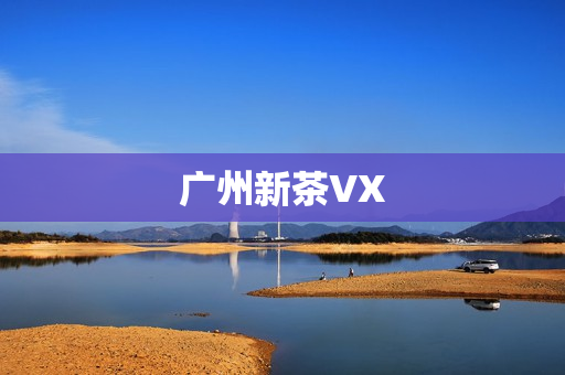 广州新茶VX