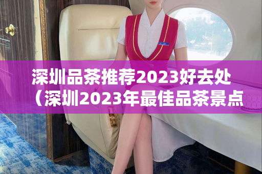 深圳品茶推荐2023好去处（深圳2023年最佳品茶景点推荐）