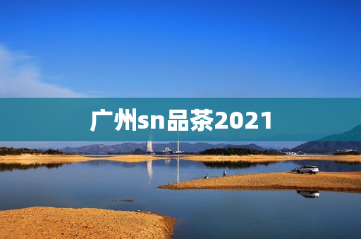 广州sn品茶2021