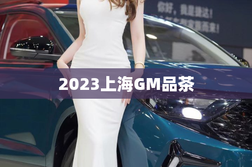 2023上海GM品茶