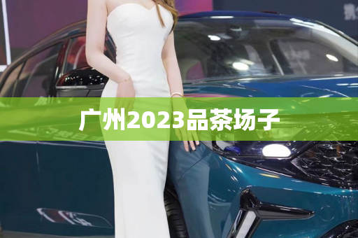 广州2023品茶场子