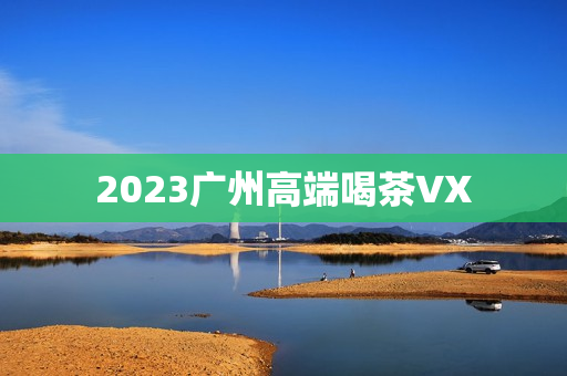 2023广州高端喝茶VX