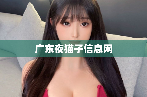 广东夜猫子信息网