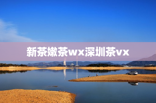 新茶嫩茶wx深圳茶vx