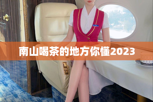 南山喝茶的地方你懂2023