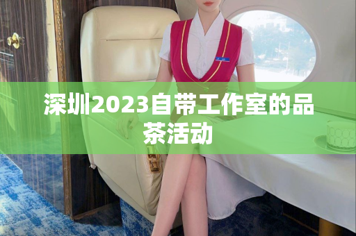 深圳2023自带工作室的品茶活动