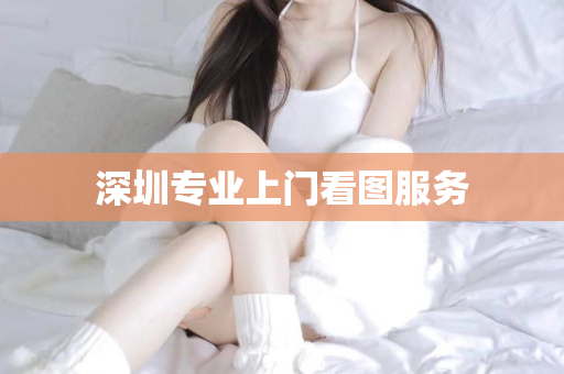 深圳专业上门看图服务